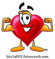 לב, לכופף שרירים