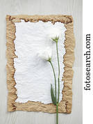 white rose memo pad white rose memo pad