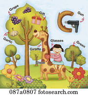 alphabet, g, studieren, mit, abbildung, und, w?rter alphabet, g, studieren, mit, abbildung, und, w?rter