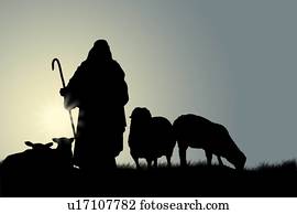Shepherd with sheep Shepherd with sheep