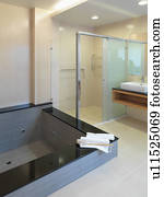 Jacuzzi tub in modern bathroom