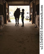 mulher, aparência, cavalo