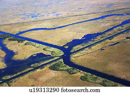 vista aérea, de, pântano