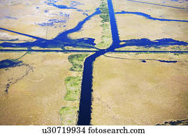 vista aérea, de, pântano