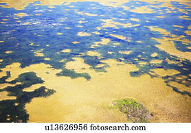 vista aérea, de, pântano