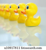 organização, conceito