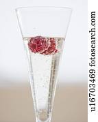 champagner champagner
