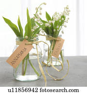 Lilies of the valley in glasses with name tags