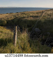 Landscape, pastureland along coastline, with wire fence and gully