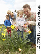 família, ligado, páscoa ovo caça, em, narciso, campo