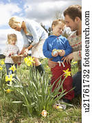 família, ligado, páscoa ovo caça, em, narciso, campo