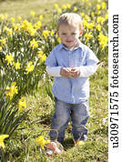 menino jovem, ligado, páscoa ovo caça, em, narciso, campo