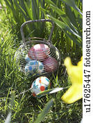 ovos páscoa, escondido, para, caça, em, narciso, campo