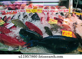 Fish Market
