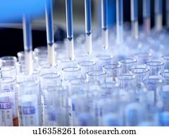 automatizado, amostra sangue, testar