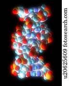 Computer graphic of a segment of beta DNA