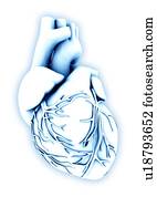 coração, computador, artwork