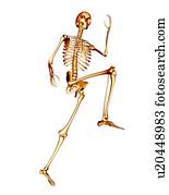 esqueleto, executando