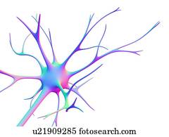 Nerve cell, computer artwork