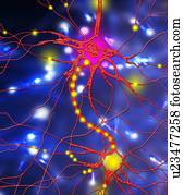 Nerve cells, artwork