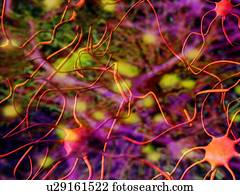 Nerve cells, computer artwork
