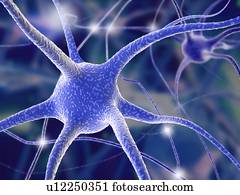 Nerve cells, computer artwork