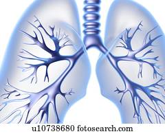 pulmões, computador, artwork