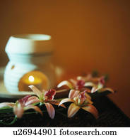 queimador aromatherapy, e, flores