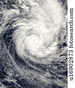 Tropical cyclone Percy