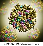 Cucumber Mosaic Virus, artwork