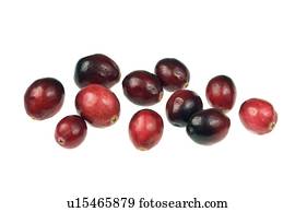 fresco, arandos vermelhos