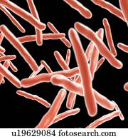 vírus, ilustração