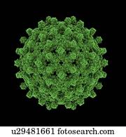 hepatite, b, vírus, partícula