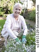 Senior woman gardening