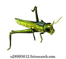 inseto, espião, conceitual, artwork