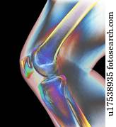 normal, joelho, raio x