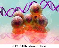 pare cela, pesquisa, conceitual, artwork