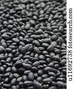 pretas, tartaruga, feijões