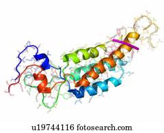 Tobacco mosaic virus capsid protein