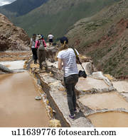 Tourists at a salt mine, Maras, Salinas, Sacred Valley, Cusco Region, Peru