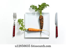 Carrot on Plate