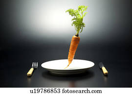 Carrot on Plate