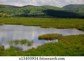 Kurumayama, pântano