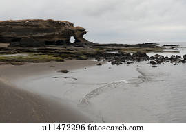 Beach, Puerto Egas, Santiago Island, Galapagos Islands, Ecuador