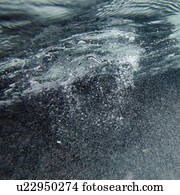 Bubbles underwater, Puerto Egas, Santiago Island, Galapagos Islands, Ecuador