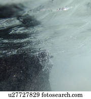 Bubbles underwater, Puerto Egas, Santiago Island, Galapagos Islands, Ecuador