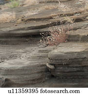 Puerto Egas, Santiago Island, Galapagos Islands, Ecuador