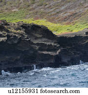 Santiago Island, Galapagos Islands, Ecuador