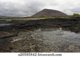 Volcanic rocks on the coast, Puerto Egas, Santiago Island, Galapagos Islands, Ecuador
