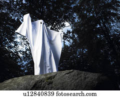 fantasma, feito, de, folhas, ficar, ligado, um, rocha